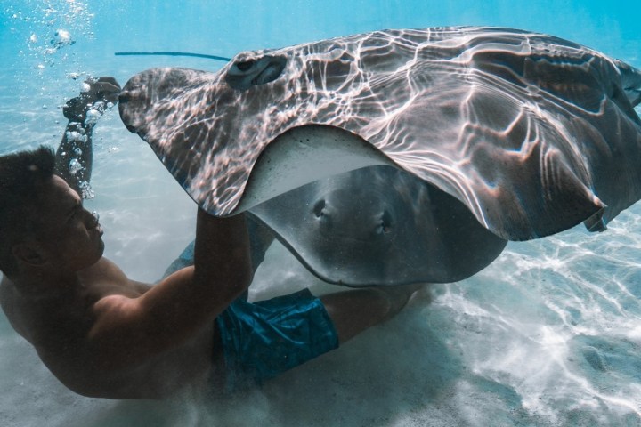a person swimming in the water