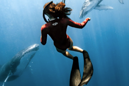 a person swimming in the water