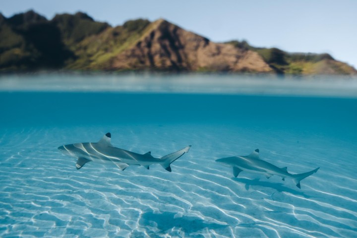 a plane flying over a body of water
