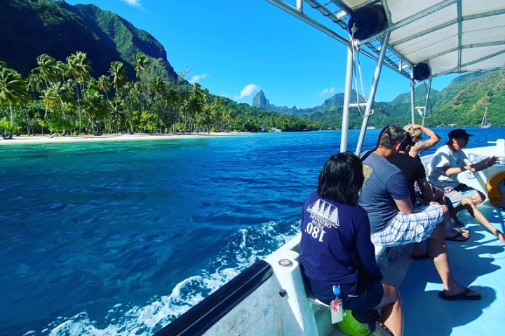 People sitting on a boat near a tropical island with palm trees.