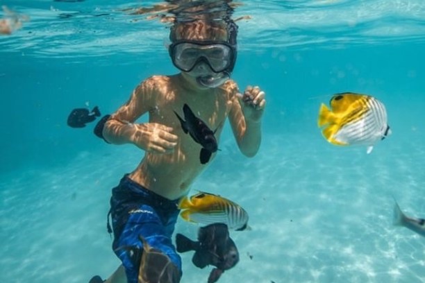Child in snorkeling gear underwater with colorful fish.