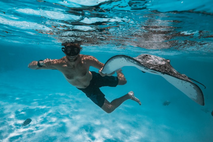 Man snorkeling underwater beside a stingray in clear blue water.