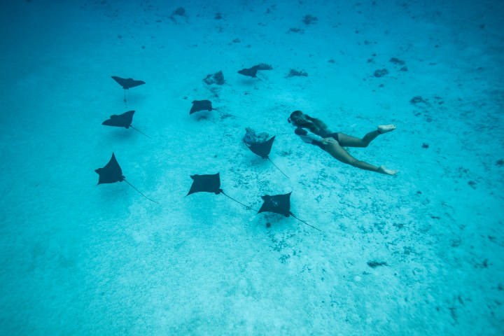 Person swimming underwater near a group of stingrays on sandy seabed.