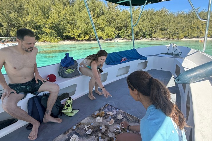 People on a boat examining marine specimens on a table.